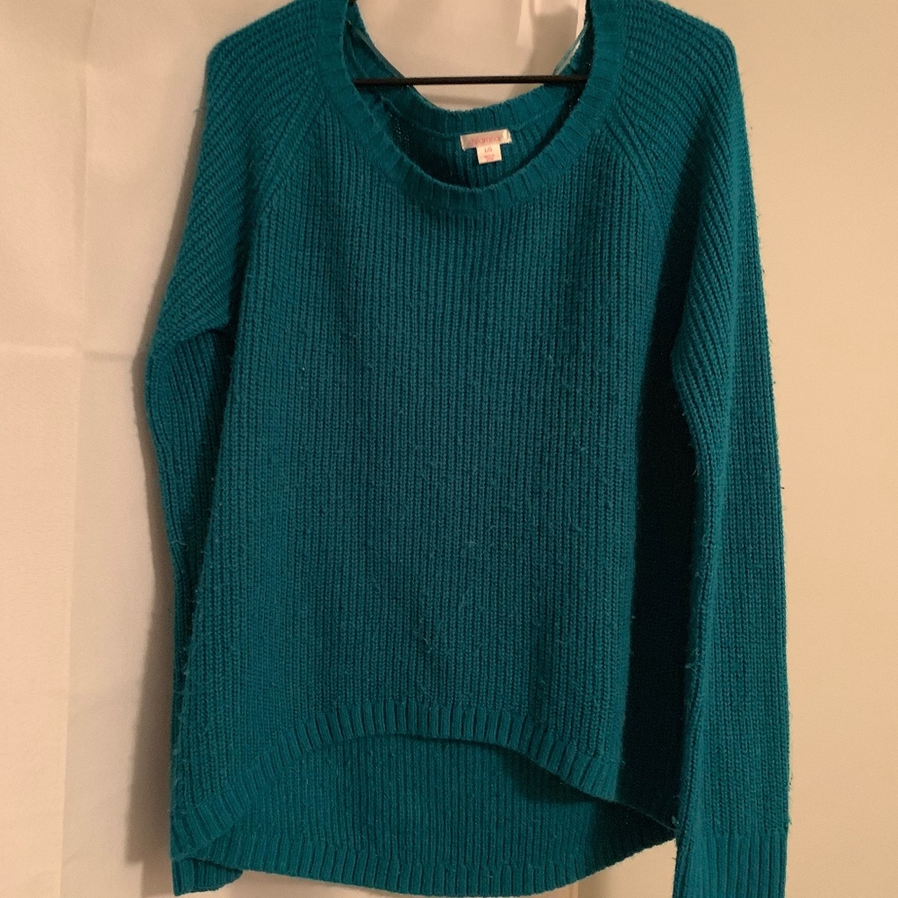 Blue Sweater